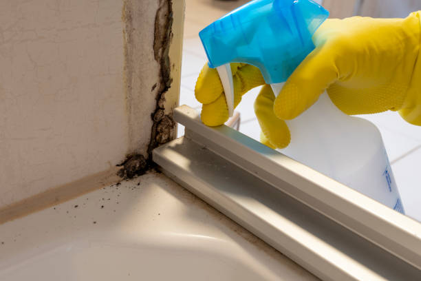 Best Air Quality Testing for Mold Spores  in Whitesboro, TX